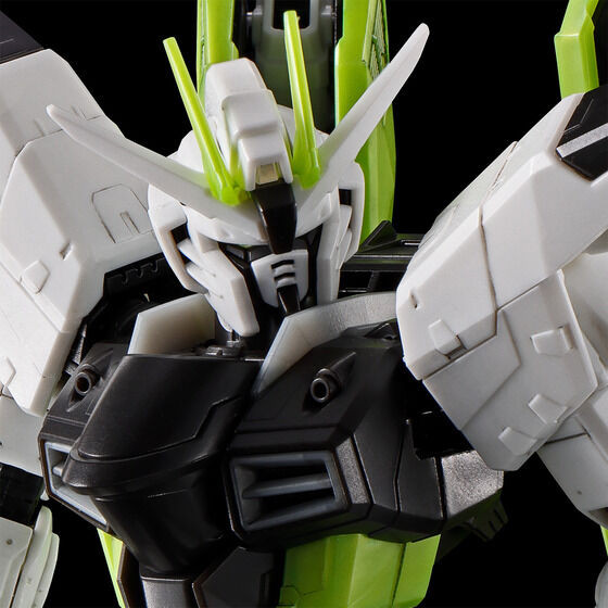 RG 1/144 FREEDOM GUNDAM APEX LEGENDS(TM) Crypto Ver. Plastic Model