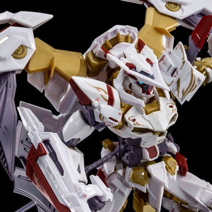 RG 1/144 Gundam Astray Gold Frame Amatsu Hana Plastic Model