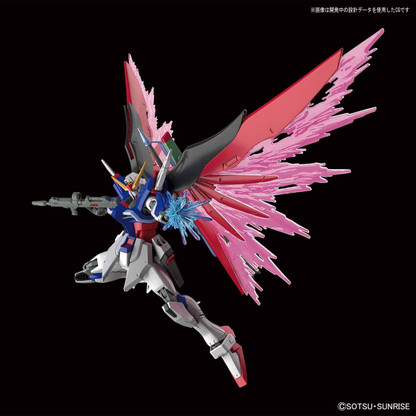 HGCE 1/144 Destiny Gundam Plastic Model