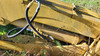 Vermeer TG525 Grapple Assembly