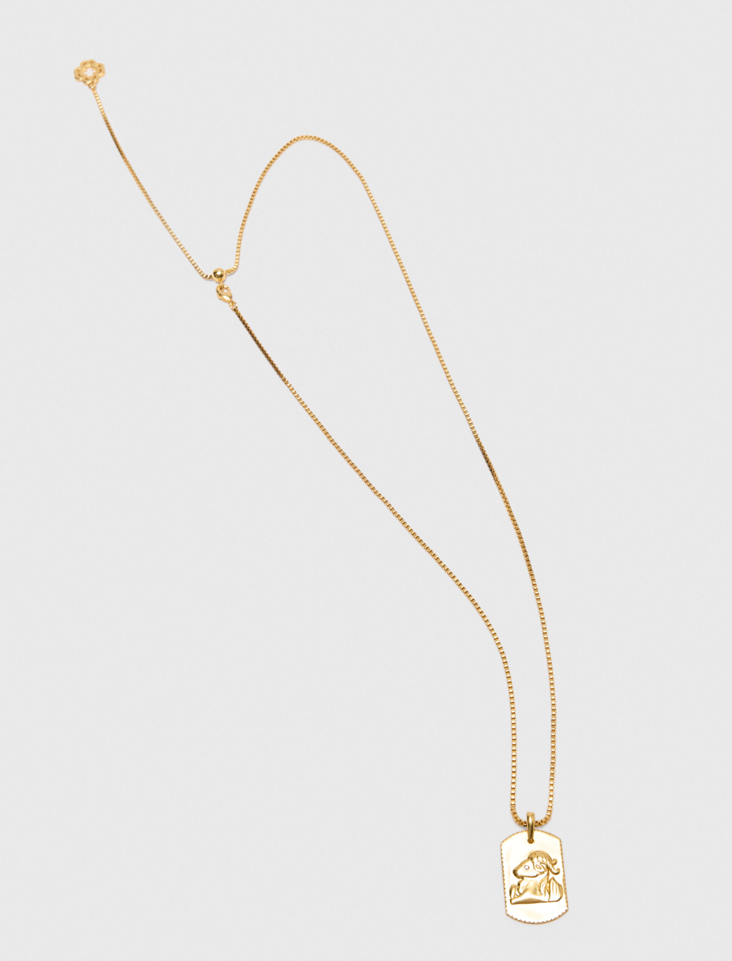 Zodiac sign plaque necklace Capricorn - Gold