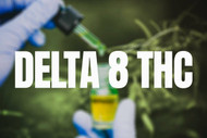 Delta 8 Distillate: What It Is, How It's Used, and Why Bulk Matters