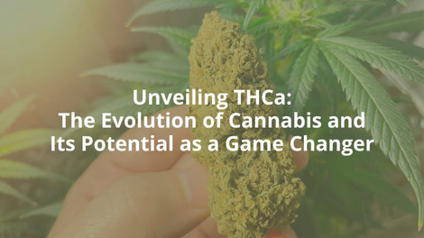 Unveiling THCa: The Evolution of Cannabis and Its Potential as a Game Changer