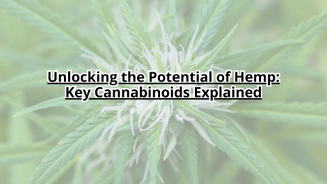 Unlocking the Potential of Hemp: Key Cannabinoids Explained