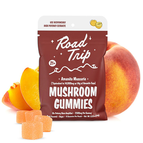 Mushroom Gummies: What They Are, Why They’re Trending, and Whether They’re Worth It