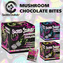 Sacred Journey Mushroom Chocolate 80000MG 1PK-20CT