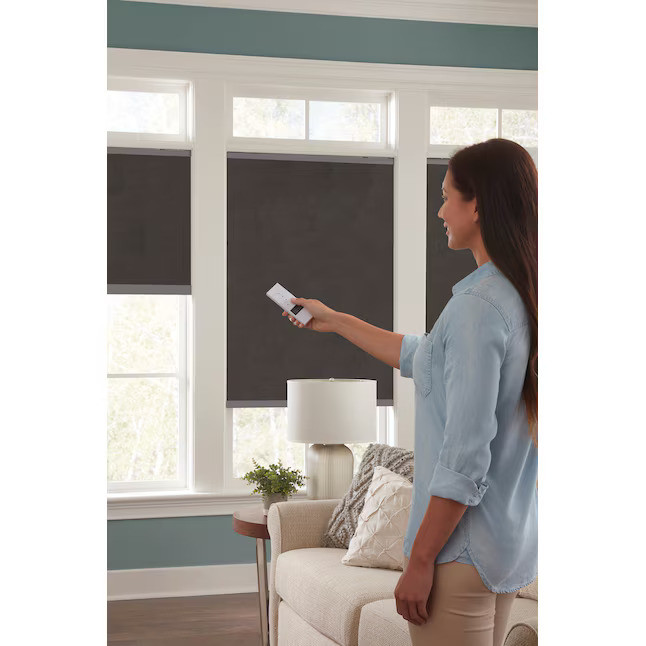 allen + roth Roller Shade