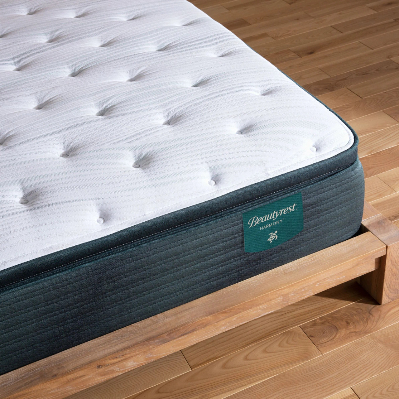 Simmons Beautyrest Harmony Premier Beachfront Bay Medium Pillow