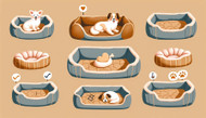 Finding the Perfect Snooze Spot: A Guide to Choosing Pet Beds for Your Furry Friends