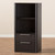 Baxton Studio Carlingford Modern and Contemporary Espresso Brown Finished Wood 2-Drawer Bookcase