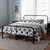 Baxton Studio Celeste Vintage Industrial Black Finished Metal Platform Bed