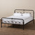Baxton Studio Celeste Vintage Industrial Black Finished Metal Platform Bed