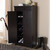 Baxton Studio Bienna Modern and Contemporary Wenge Brown Finished Shoe Cabinet