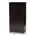 Baxton Studio Bienna Modern and Contemporary Wenge Brown Finished Shoe Cabinet