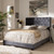 Baxton Studio Candace Luxe and Glamour Dark Grey Velvet Upholstered Bed
