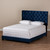 Baxton Studio Candace Luxe and Glamour Navy Velvet Upholstered Bed