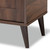 Baxton Studio Cormier Mid-Century Modern Walnut Brown finished 2-Door Wood Entryway Shoe Storage Cabinet