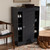 Baxton Studio Leone Modern and Contemporary Charcoal Finished 2-Door Wood Entryway Shoe Storage Cabinet