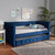 Baxton Studio Amaya Modern and Contemporary Navy Blue Velvet Fabric Upholstered Daybed with Trundle