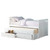 Homelegance Galen Collection Twin Trundle Bed in White