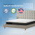 Sleep Technologies 10" Essentials Medium Firm Memory Foam Mattress