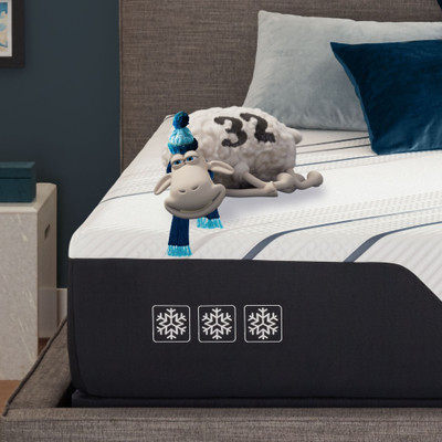 Serta Icomfort Cf4000 Plush Gel Memory Foam Mattress Dealbeds Com
