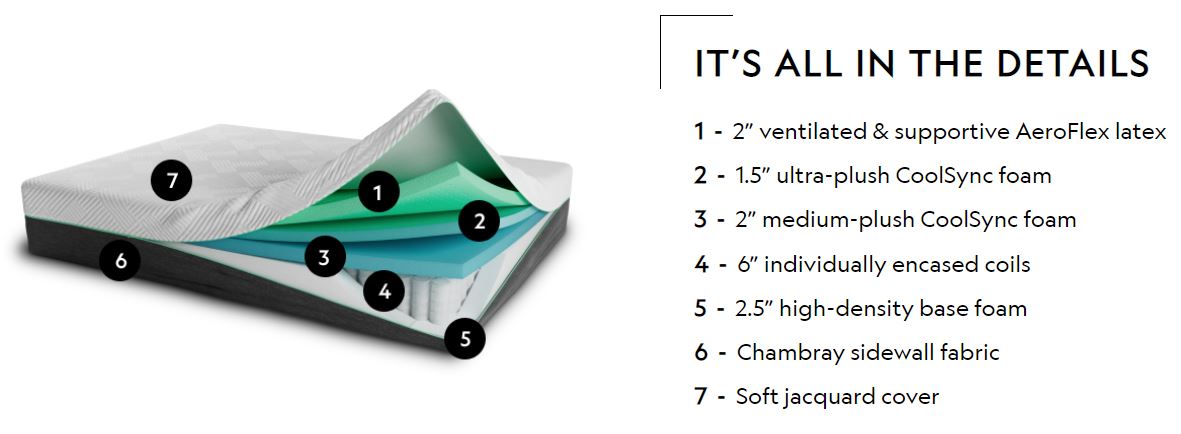 Ascend Cutaway