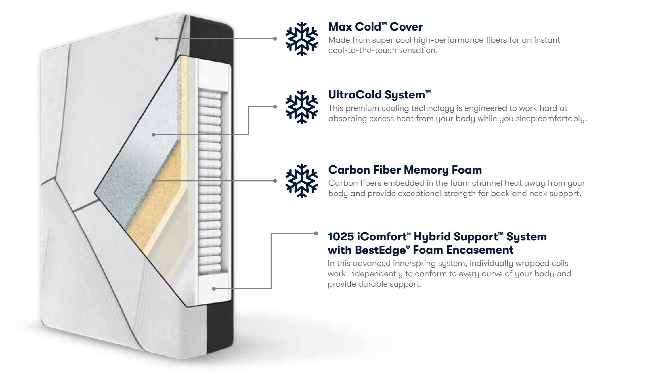 CF3000 Features