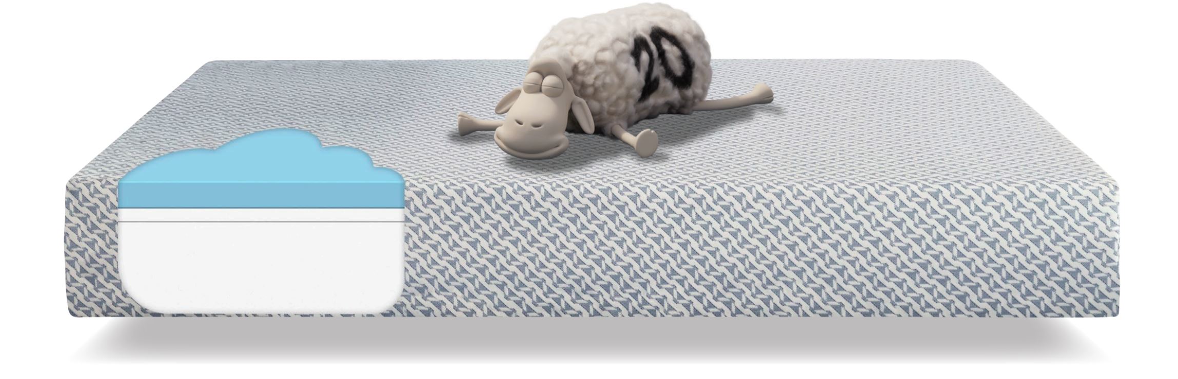 Serta 10 Gel Memory Foam Sheep Retreat Medium Mattress 