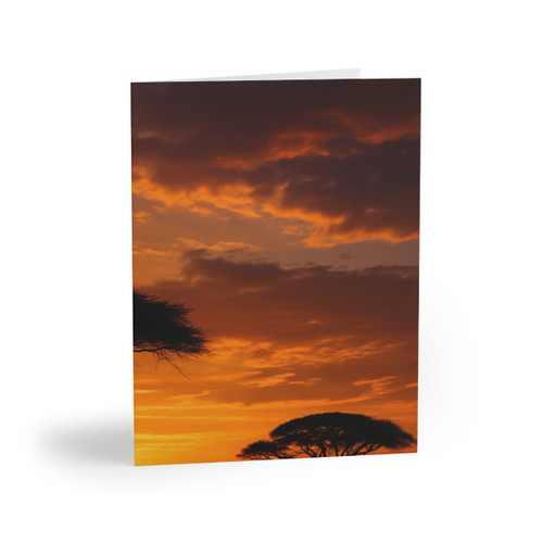 Savanna Sunset Harmony - Greeting cards (8, 16, and 24 pcs)