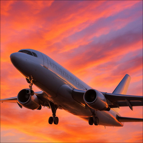 Skyward Bound - Temporary Tattoos