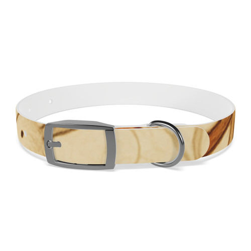 Whimsical Forest Dance - Dog Collar