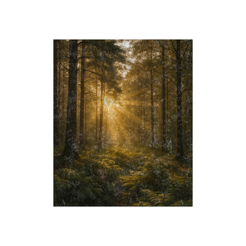 Serene Forest Retreat - Crushed Velvet Blanket