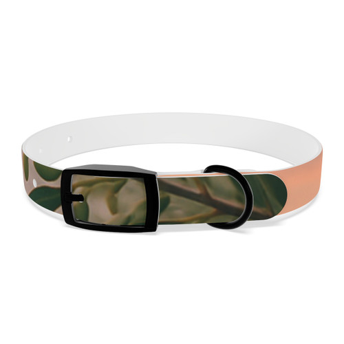 Harmony in Nature - Dog Collar