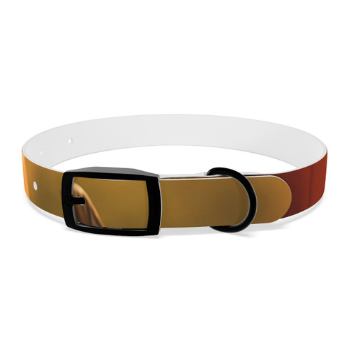 Harvest Table Gathering - Dog Collar