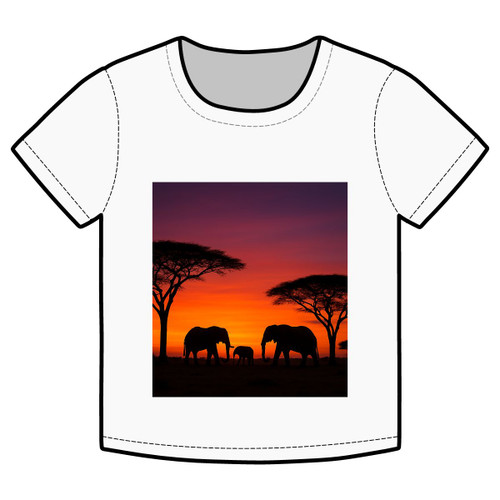 Savanna Sunset Serenade - Organic Rib Baby Tee