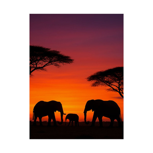 Savanna Sunset Serenade - Rolled Posters