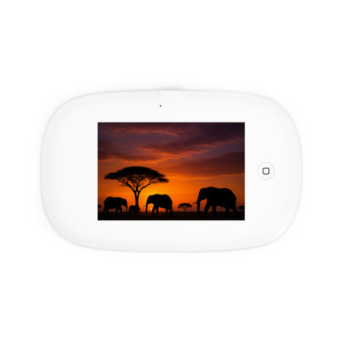 Savanna Sunset Serenade - UV Phone Sanitizer and Wireless Charging Pad