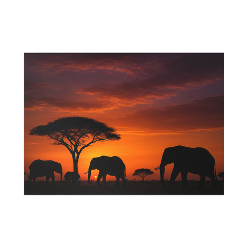 Savanna Sunset Serenade - Fine Art Postcards