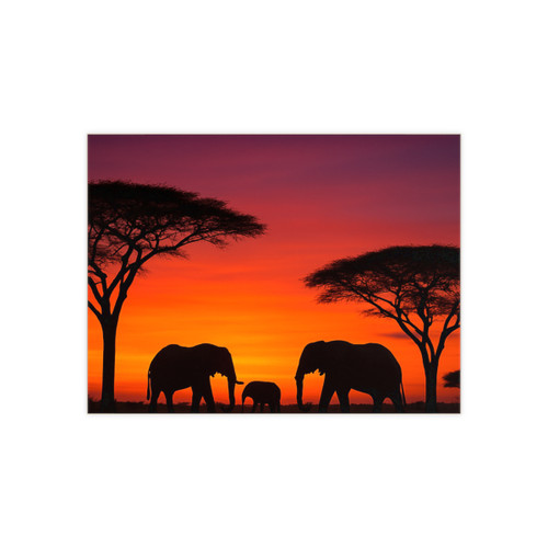 Savanna Sunset Serenade - Ceramic Photo Tile