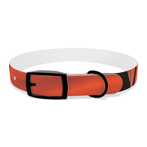 Skyward Journey - Dog Collar