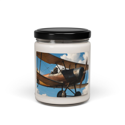 Skyward Soar - Scented Soy Candle, 9oz