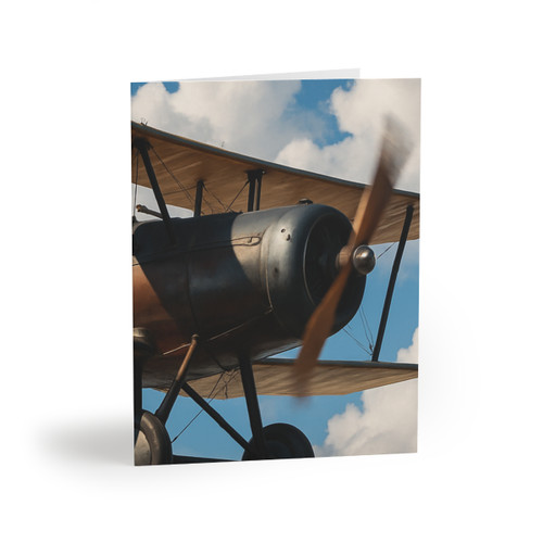 Skyward Soar - Greeting cards (8, 16, and 24 pcs)