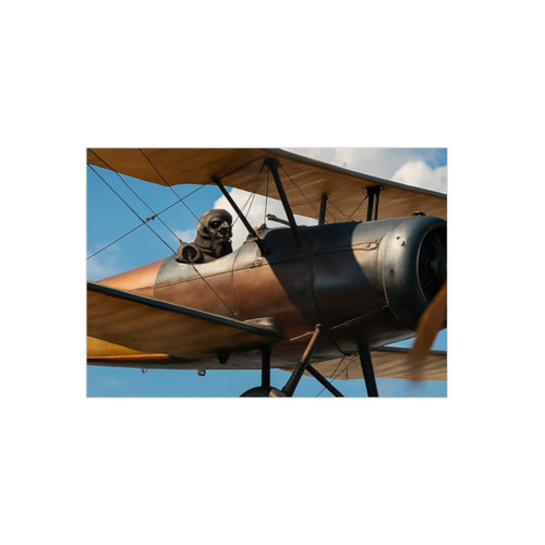 Skyward Soar - Foam Board