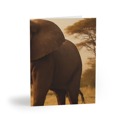Graceful Elephant Dance - Greeting cards (8, 16, and 24 pcs)