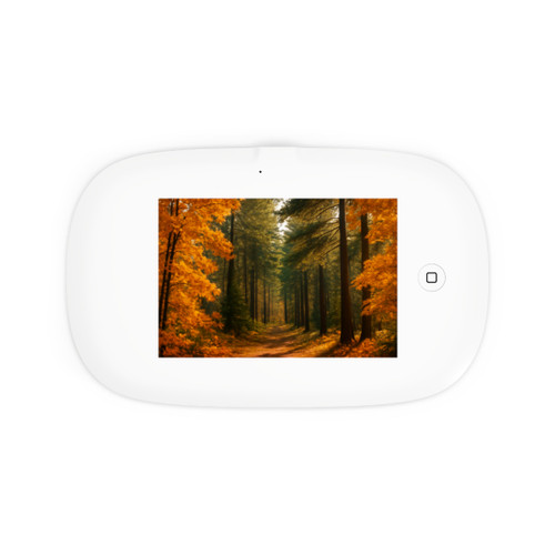 Golden Autumn Retreat - UV Phone Sanitizer and Wireless Charging Pad