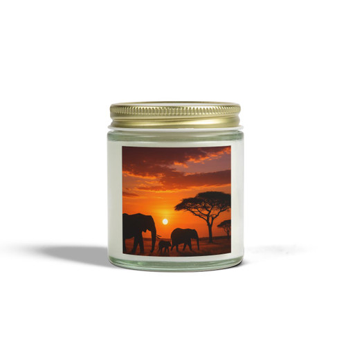 Savanna Harmony - Scented Candles, Coconut Apricot Wax (4oz, 9oz)