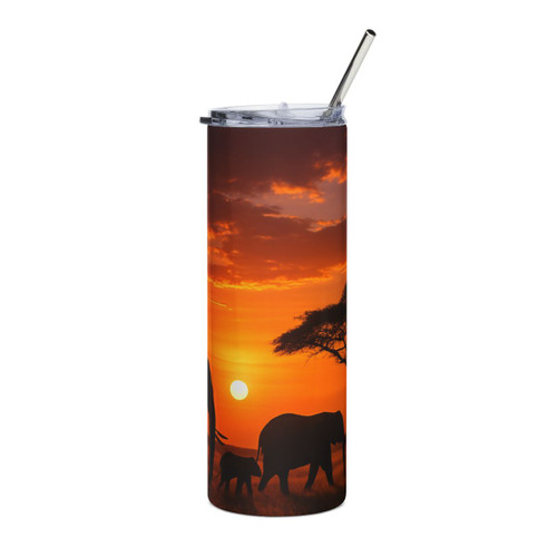 Savanna Harmony - Stainless Steel Tumbler, 20oz