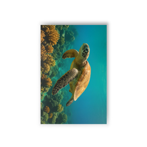Serene Ocean Whisper - Postcards (10pcs)