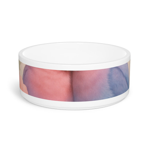 Whimsical Love Birds - Pet Bowl